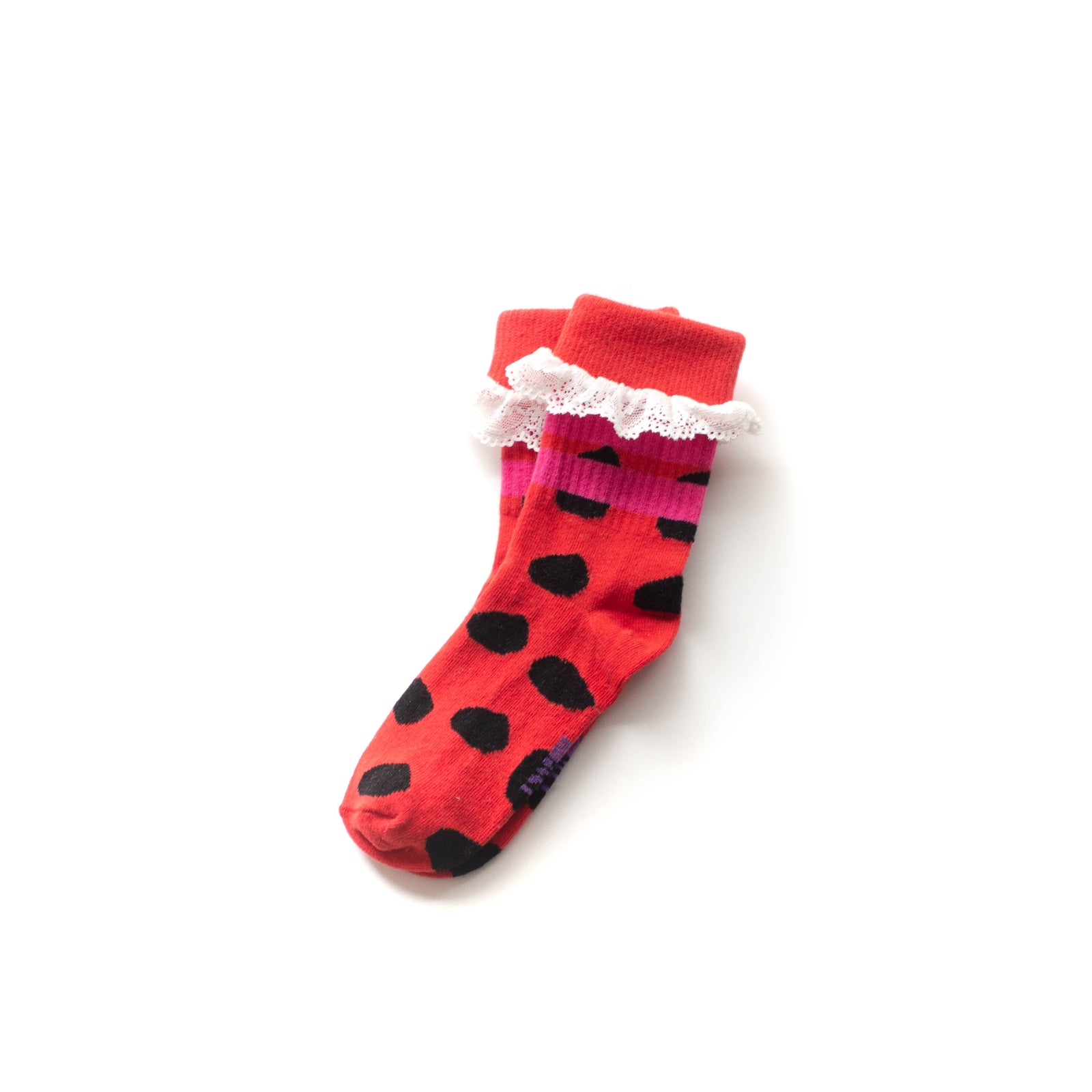 Ladybug