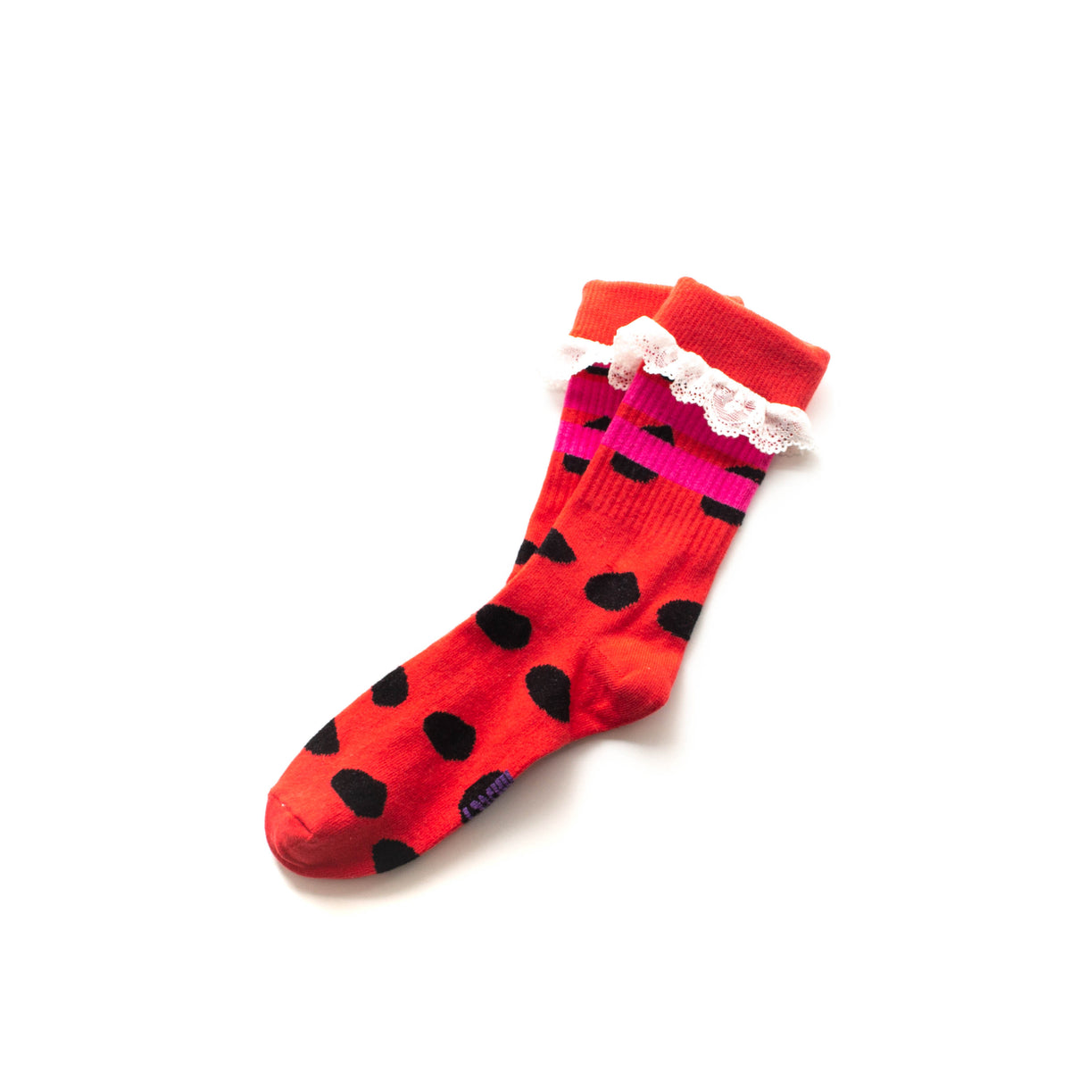 Ladybug